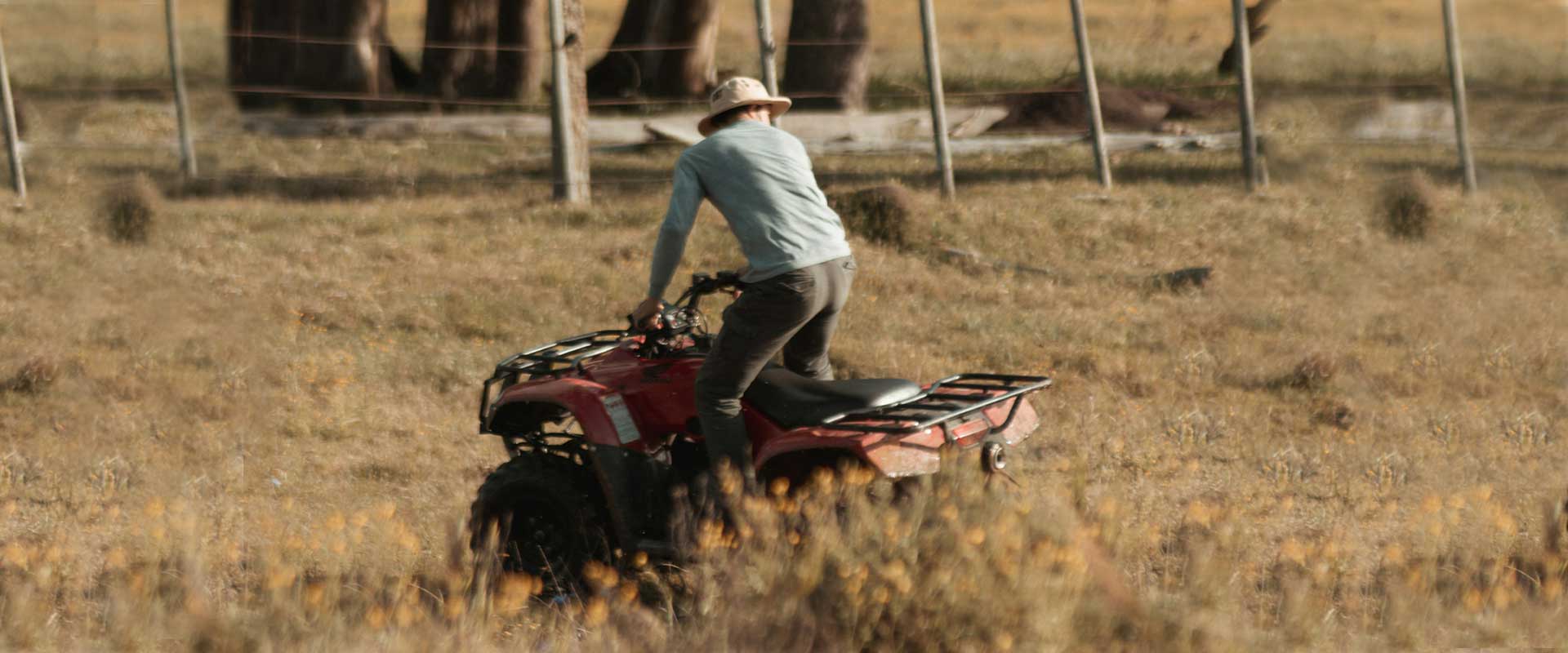 Gippsland farmer healthy paddocks