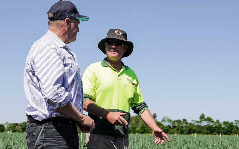 Mark Schreurs Leek and Vegetable Farm in Gippsland